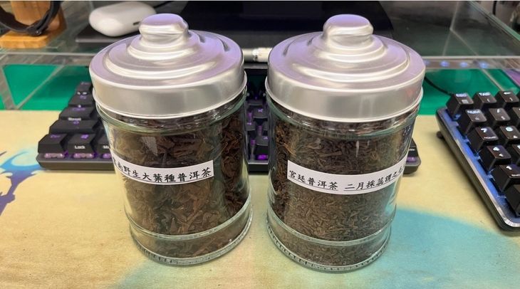 雲南野生大葉普洱茶 (左) - 普洱茶